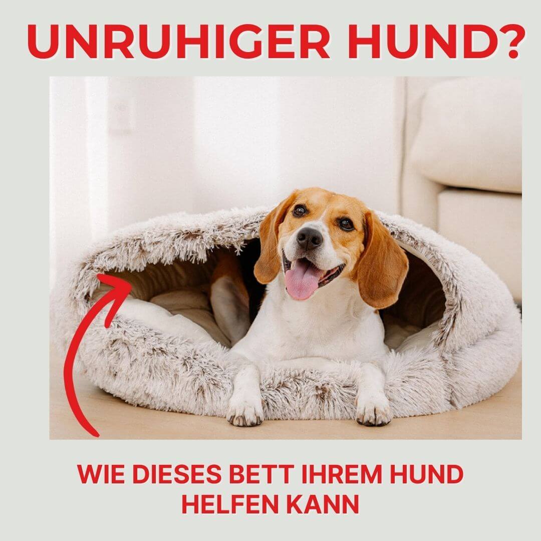Höhlennest | In 7 Tagen zu einem entspannten, glücklichen Hund