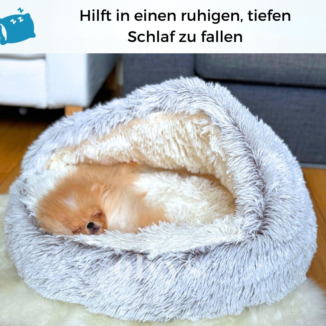 Höhlennest | In 7 Tagen zu einem entspannten, glücklichen Hund