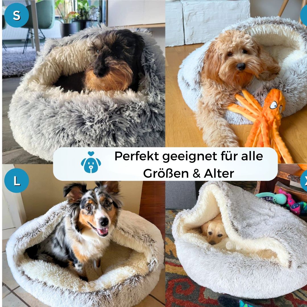 Höhlennest | In 7 Tagen zu einem entspannten, glücklichen Hund