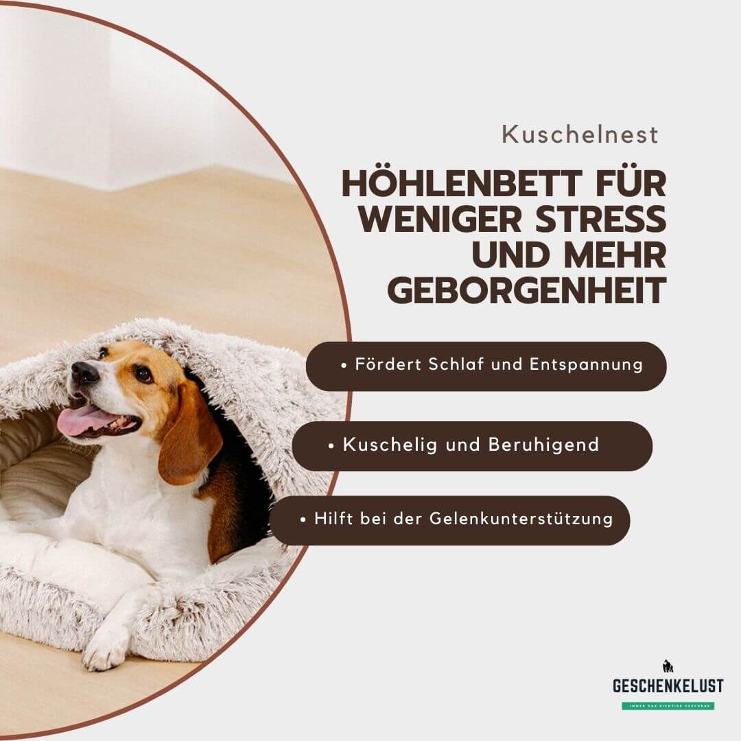 Höhlennest | In 7 Tagen zu einem entspannten, glücklichen Hund